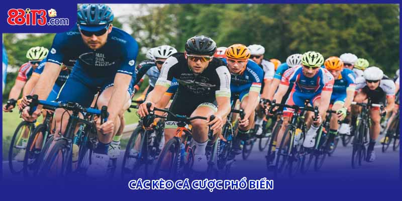 Các kèo cá cược phổ biến