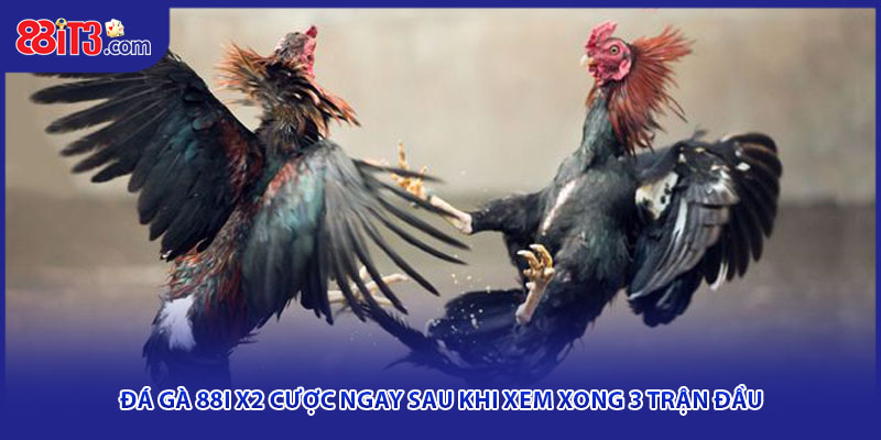 Đá Gà 88i X2 Cược Ngay Sau Khi Xem Xong 3 Trận Đầu