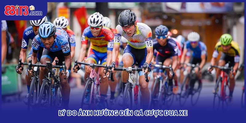 Lý do ảnh hưởng đến cá cược đua xe