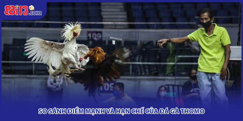 So sánh điểm mạnh và hạn chế của đá gà Thomo